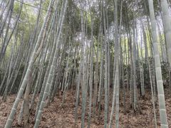 -敬亭山风景名胜区