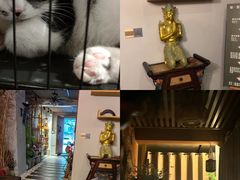 -泰·菩提树下[泰式按摩x精油SPAx肩颈头疗](新景店)