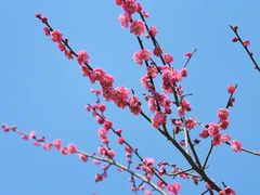 -溪口-滕头旅游景区