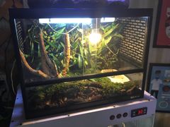 -Rabbit Cafe私房西餐甜点咖啡(栖霞路店)