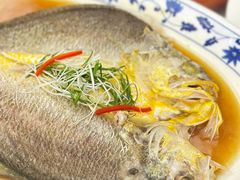 抱盐海鲈鱼-宁波状元楼酒店(和义路店)