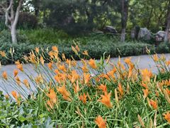 -天毓山庄·餐厅