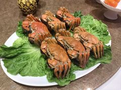 -鹿园 MOOSE(长宁店)