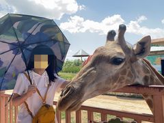 -鄂尔多斯野生动物园