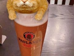 -宝莱纳餐厅(滨江店)