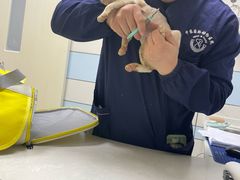 -中农国际动物医院24小时·猫科·骨科·急重症中心