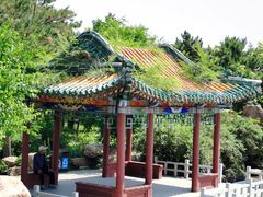 -北陵公园