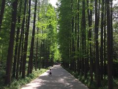 -上海植物园·停车场