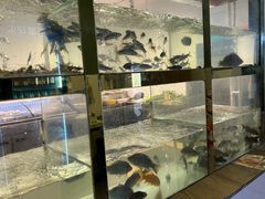 -小乡小镇·传承桐庐土菜·老板亲自烧的菜
