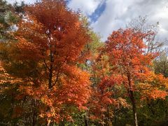 -长春市南湖公园
