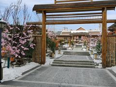 -白桦林温泉谷