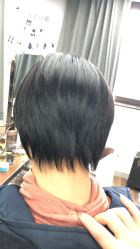 -镁连社·美联社