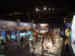 -国家自然博物馆