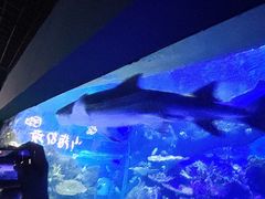 -江和美海洋公园