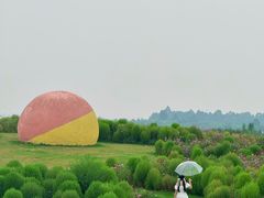-空港花田景区