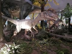 -湖南省地质博物馆