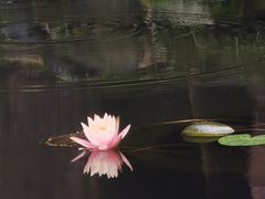 -望江楼公园