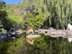 -周口店北京人遗址公园