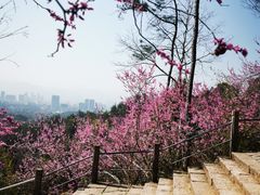 -天台山赤城山景区