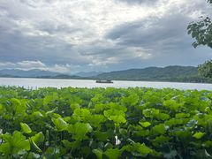 -湖畔居茶楼(湖滨店)