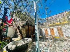 -喵屿·大理花园猫咖