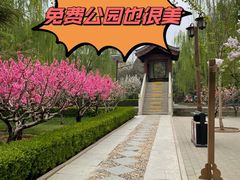 -团结湖公园