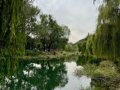 -北坞公园