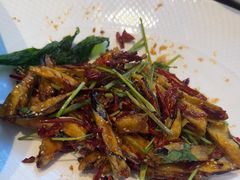 -俭寨大盘鸡·手抓肉·烧烤新疆菜(乌苏路店)