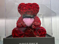 -ROSEONLY诺誓(广州K11店)