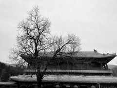 -潭柘寺景区