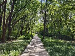 -昆山城市生态森林公园