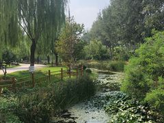 -燕郊植物园