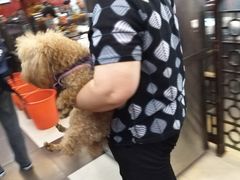 -蔡先生(双阳路店)