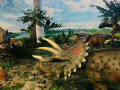 -吉林省自然博物馆