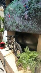 -Early Rider 儿童自行车(蓝色港湾店)