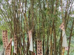 -靖西鹅泉风景区