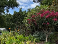 -墨尔本皇家植物园