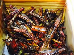 -福照楼汽锅鸡·云南菜(护国路店)