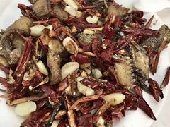 -田记餐馆(富国街店)