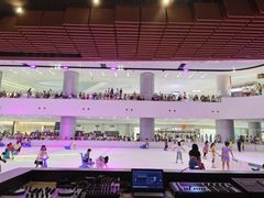 -TheRink大零溜冰场(IFS国金中心店)