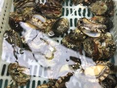 -盒马鲜生(宝地店)