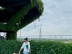 -芒洲湿地公园