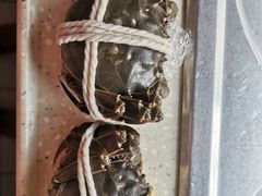 -阳澄湖大闸蟹·琼灵阁牌品牌连锁(吴中总店)
