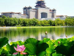 -莲花池公园