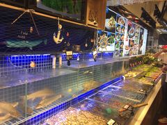 -必点海鲜·鲅鱼水饺(鞍山西道店)