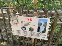 -深圳野生动物园