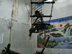 -西安秦岭野生动物园