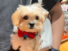 -MARSMART PETS火星宠物超市(1733店)