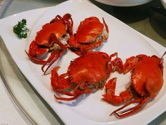 -得尔乐大酒店(南塘店)