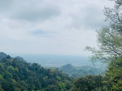 -青城山